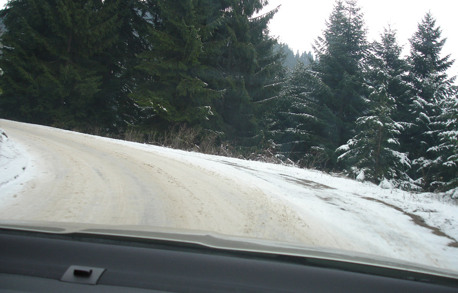 Vares_2011_101