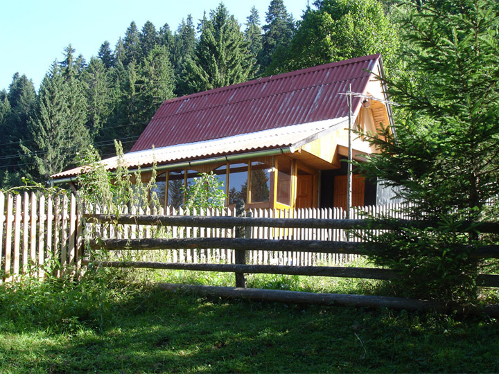 P1050021i