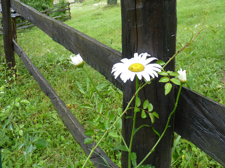 P1050091