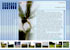 Vrhovina On Line