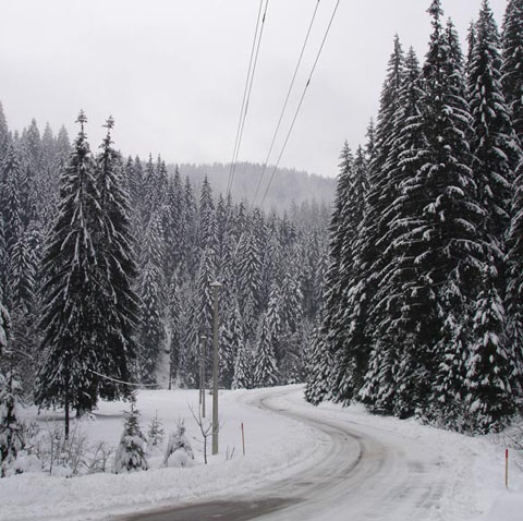 3.zvijezda04