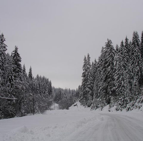 3.zvijezda06
