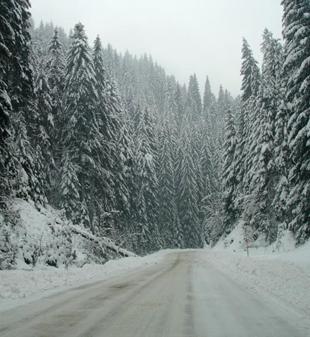 3.zvijezda09