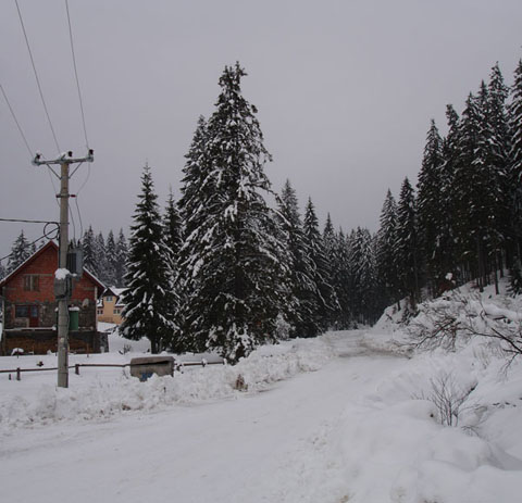 3.zvijezda15