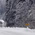 3.zvijezda08